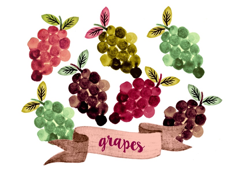 Grapes clipart fruit clipart watercolor fruit clipart | Etsy (794 x 613 Pixel)