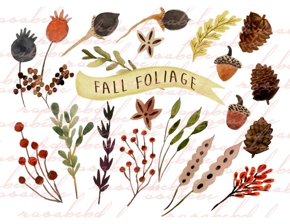 Fall clipart, thanksgiving clipart, fall clipart, pumpkins clipart, hand painted fall clipart