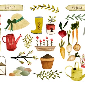 Gartenarbeit, Gemüse Clipart, Bauernhof Clipart, Aquarell Clipart, Garten Clipart, Gartenwerkzeuge, Gießkanne, Gemüse, Bio