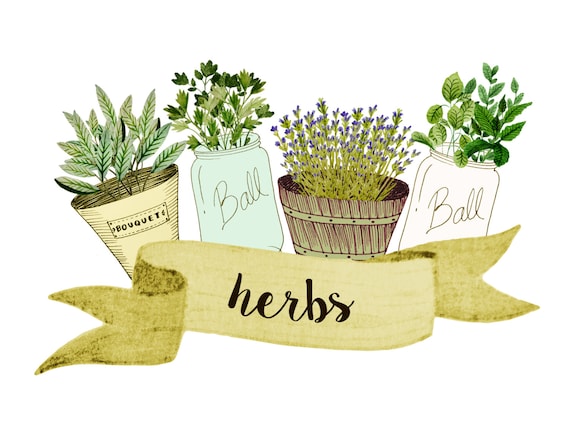 Botanical clipart, watercolor botanicals clipart, gardening clipart, wedding invites, gardening decor
