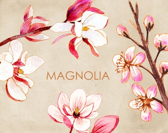 Flowers clipart, watercolor flowers clipart, botanical clipart, watercolor floral clipart, magnolia clipart