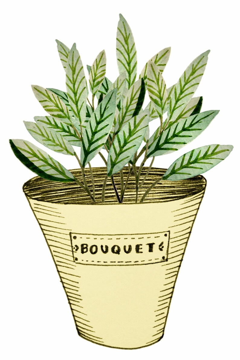 May include: A hand-drawn illustration of a potted plant with green leaves. The pot is yellow and has a label that says "BOUQUET".