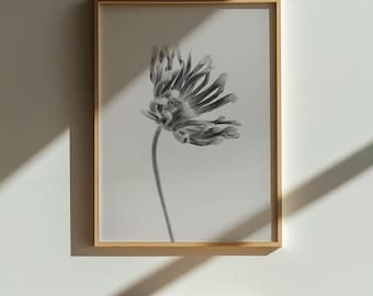 Black and White Flower Print, Minimalist Botanical Wall Art, Monochrome Nature Photography, Modern Neutral Home Decor, Digital Download