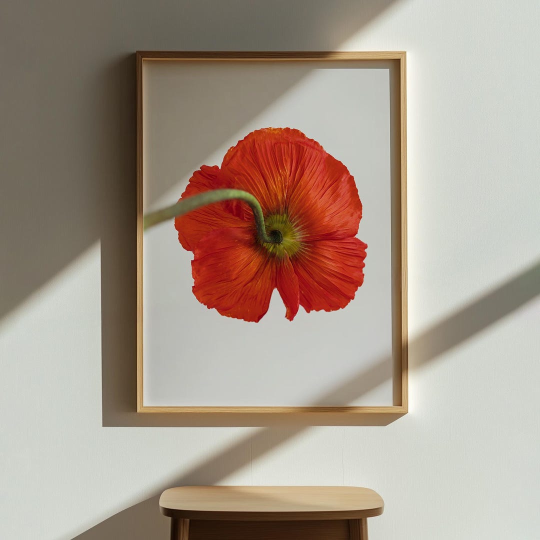 Red Poppy Flower Print, Poppy Wall Art, Floral Wall Decor, Red Poppy ...
