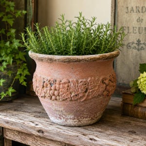 Vintage Terracotta Grape Vine Planter Pot, Large Rustic Garden Flower Pot, Weathered Clay Planter, Tuscan French Country Decor