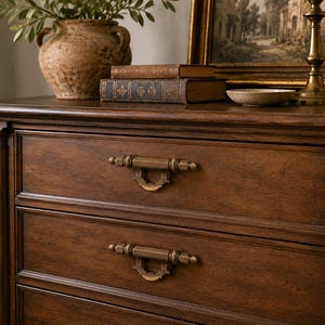 May include: A dark brown wooden dresser with two visible drawers, each featuring ornate brass handles. The top of the dresser displays a decorative vase with greenery, books, a small bowl, and a framed picture. The overall aesthetic is classic and elegant.