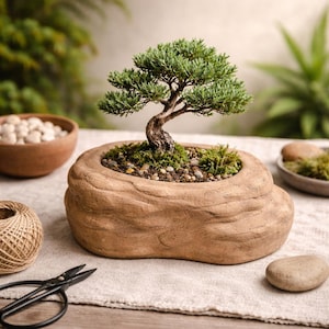 Vintage Rock Look Planter, Small Rustic Ceramic Pot, Faux Stone Succulent Pot, Bonsai Planter with Drainage Hole