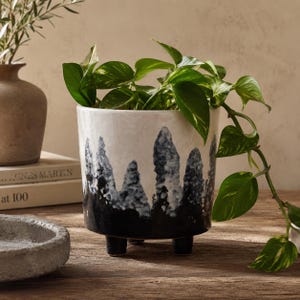 May include: A white and black ceramic planter with a mountain-like design, holding a green leafy plant. The planter has three small black legs and is filled with a vibrant green plant. The design is a modern, artistic touch for home decor.