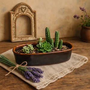 jade types plant Assorted Crassula - Jade Plants Collection - 4 Inch main image 1