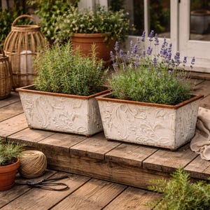 May include: Two rectangular, off-white planters with embossed floral designs and brown rims. One planter holds rosemary, the other lavender. The planters sit on a wooden deck, suggesting an outdoor garden setting.