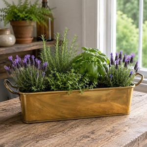 May include: A rectangular brass planter with two side handles containing a variety of potted herbs and purple lavender plants. The metallic container has a smooth, reflective finish and holds green rosemary, basil, and flowering lavender stems.
