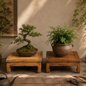 May include: A bonsai tree with a curved trunk in a shallow oval ceramic pot and a leafy green plant in a round, two-handled textured brown ceramic pot, each displayed on a separate square wooden stand with four short, curved legs.