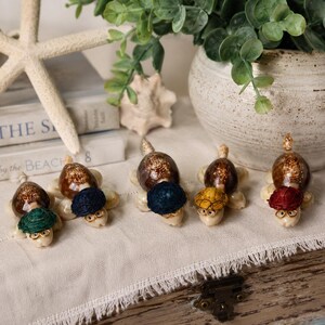 May include: Five small turtle figurines crafted from polished brown spotted seashells. Each turtle features a tiny, round, textured hat in green, dark blue, navy, yellow, or red, and wears miniature gold-toned wire-rimmed glasses.