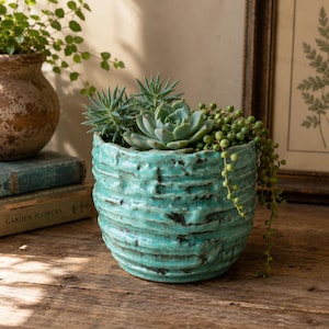 May include: A turquoise ceramic planter with a textured, ribbed surface and dark brown accents. The planter contains a variety of green succulents, including a central rosette-shaped succulent and a trailing string of pearls plant.
