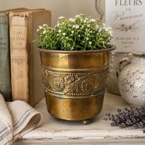May include: A round, metallic brass planter with a weathered patina and a decorative embossed band featuring floral and leaf motifs. The planter sits on small, rounded feet and contains a lush cluster of small white flowers with green foliage.