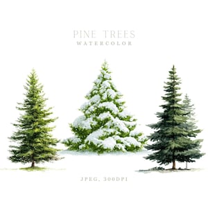 May include: Watercolor illustration of three pine trees. One tree is covered in snow, while the others are green. The text "PINE TREES WATERCOLOR" is at the top. The image is labeled "JPEG, 300DPI".
