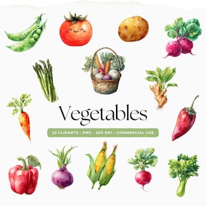 Puede incluir: Ilustración en acuarela de varias verduras, incluyendo guisantes, un tomate sonriente, patata, espárragos, una cesta de productos, zanahoria, pimiento rojo, cebolla, maíz, rábano y apio. La palabra "Vegetables" se muestra.