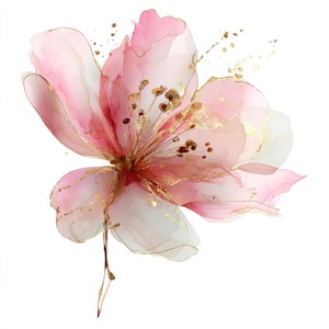 May include: A watercolour flower with pink and white petals, highlighted with gold accents. The flower has a delicate, translucent look, with gold flecks and lines enhancing its artistic design. The flower's centre is a darker shade of pink.