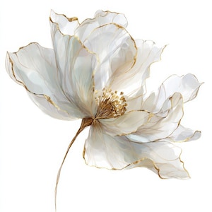 Op de afbeelding: Waterverfillustratie van een witte bloem met gouden details. De bloemblaadjes zijn goudkleurig omlijnd en het midden van de bloem is goud. De stengel heeft een warme bruine kleur.
