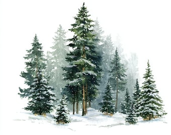 15 Misty Pine Forest Clipart, Evergreen Trees Backgrounds, Woodland Forest Background, Forest Pine Tree Landscape
