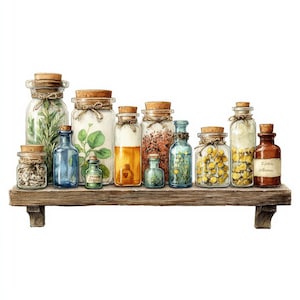 Puede incluir: Ilustración en acuarela de una estantería de madera con varios frascos y botellas de vidrio. Los frascos contienen hierbas, flores y líquidos, sellados con corchos y atados con hilo. La paleta de colores incluye verdes, amarillos, marrones y azules.