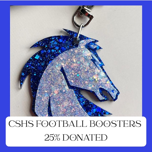 Clear Springs Football Booster spirit earrings - FUNDRAISER - glitter resin earrings - handmade jewelry