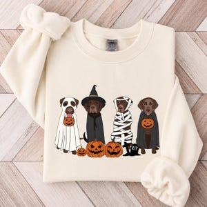 Pode incluir: Uma camisola de gola redonda cor de creme com um gráfico de quatro cães com fatos de Halloween. Um cão é um fantasma, um é uma bruxa, um é uma múmia e um é um vampiro. Estão rodeados por três abóboras e uma pequena lápide.