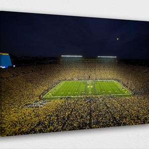 Stadium in Michigan Canvas Wall Art | Poster, Canvas Prints for Home & Office Décor | Ready-to-Hang Poster or Canvas Art
