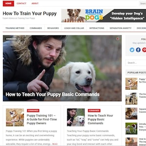 Könnte beinhalten: Die Homepage einer Website mit dem Titel "How To Train Your Puppy" zeigt einen Mann und einen Golden Retriever. Die Seite enthält Abschnitte zu Trainingsmethoden, Befehlen und Welpenverhalten mit Links zum Weiterlesen.