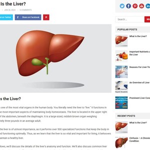 May include: Anatomical illustration of a human liver, rendered in a realistic style. The organ is reddish-brown with a green gallbladder and a connecting stalk. The title "What Is the Liver?" is displayed at the top.
