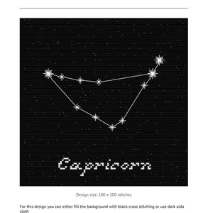 Capricorn Zodiac Constellation Star Sign Witchy Cross Stitch Needlepoint Pattern PDF Download Easy Beginner Friendly