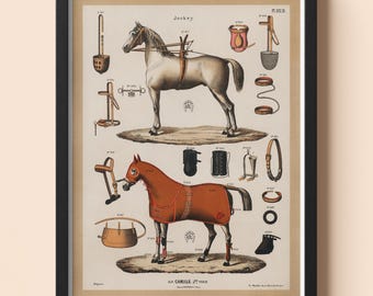 Vintage Horse Poster - Equestrian - Horse Riding Wall Art