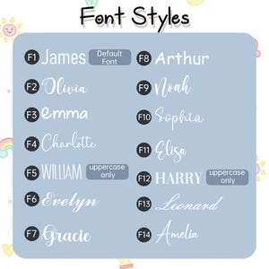 May include: A light blue graphic with the words "Font Styles" at the top. The graphic displays 14 different font styles, each with a name and a corresponding font number. Some fonts are uppercase only.