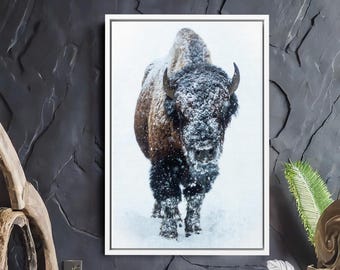 American Buffalo in Snow Original Canvas Wall Art- Bison Canvas Print Wall Art - Buffalo Home & Office Decor for Nature Lovers
