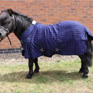 May include: A black pony wearing a navy blue plaid horse blanket with black straps and gold buckles. The pony is standing on grass in front of a brick wall. The blanket covers the pony's back and sides.