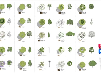 SET 04 – Revit (2023) & AutoCAD 2D 樹木パック – 設計図やランドスケープデザインのための 26 種類の建築樹木