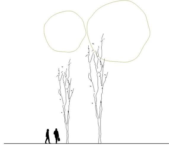 Revit 2d Tree Plan