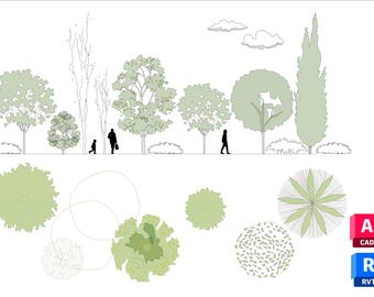 SET 02 Ensemble d'arbres 2D Revit et AutoCAD (6 modèles) – Blocs CAO pour architectes, paysagistes, projets BIM (Revit 2023) Arbres et arbustes