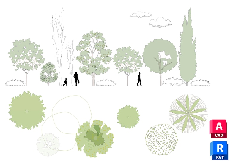 May include: Architectural drawing of a park scene with various tree types and silhouettes of people walking. The drawing includes top-down views of trees and the CAD and RVT logos.