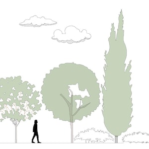 May include: Line drawing of a landscape scene featuring various trees, bushes, and two clouds in the sky. A silhouetted figure of a person is walking on a path. The trees are in shades of green, and the sky is white.