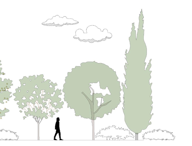May include: Line drawing of a landscape scene featuring various trees, bushes, and two clouds in the sky. A silhouetted figure of a person is walking on a path. The trees are in shades of green, and the sky is white.