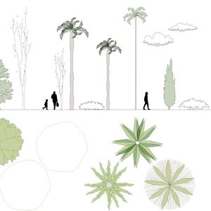 May include: Architectural drawing of a landscape design with palm trees, various trees, and shrubbery. Silhouettes of people walking are included. The drawing also shows top-down views of plants and the letters "A", "CAD", "R", and "RVT".