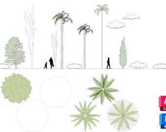 SET 03 Revit + AutoCad 2D Trees - 5 Conifers: Scalable and Minimalist Design (REVIT 2023 and Newer) Trees and Shrubs. Landscaping