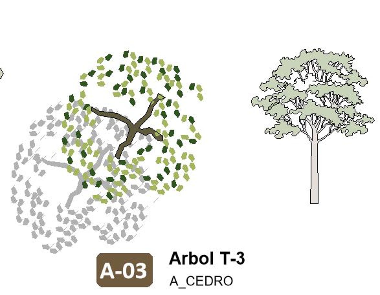 SET 01 Revit 2D Trees - 5 TREES Scalable and Minimalist Design (REVIT ...