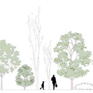 May include: Line drawing of a park scene with trees and two figures. The trees have green foliage and are of varying heights. One figure is an adult carrying a bag, and the other is a child. A cloud is in the upper right corner.