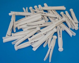 Recycled Clothspins Set of 31