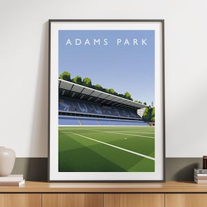 Wycombe Adams Park Print