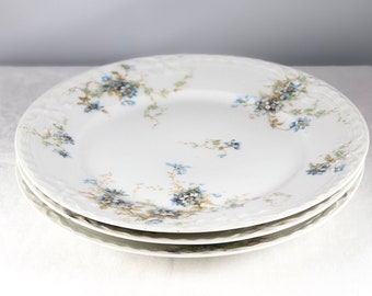Haviland Limoges Plate 8.5 inch Luncheon Dish Blue Flowers Ribbon Embossed Rim Antique Theodore Haviland