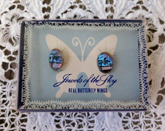 Earrings Real Butterfly Wings Hand-painted Palm Trees Vintage Screw Backs Silver Tone In Original Box 1950 Souvenir