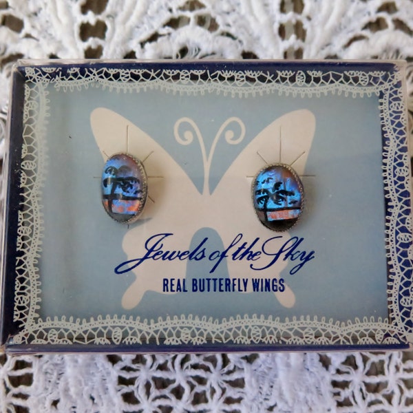 Earrings Real Butterfly Wings Hand-painted Palm Trees Vintage Screw Backs Silver Tone In Original Box 1950 Souvenir